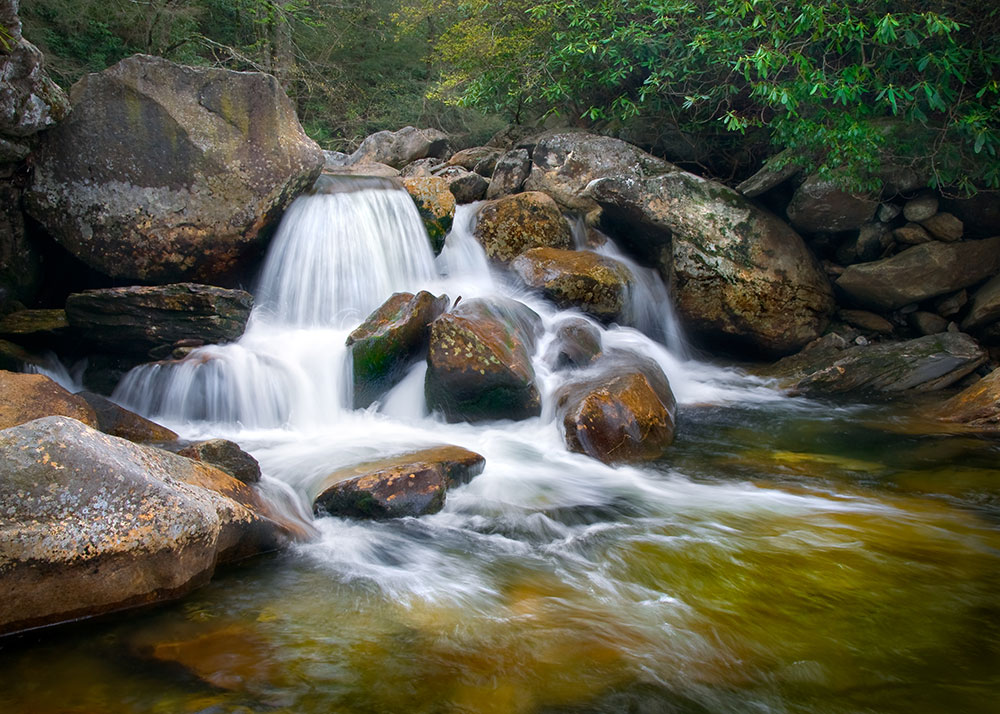 Natural Stream